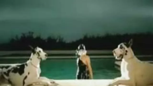 فيكا على افلام سكس اجنبية للكبار فقط الشاطئ
