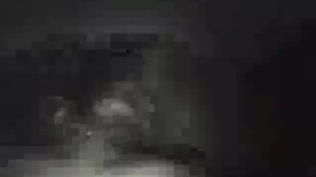 ساندرا افلام جنسيه عربيه اجنبيه شاين