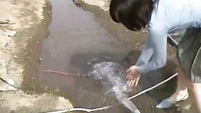 العصير مثليات ممارسة الجنس باستخدام اللعب اقوى افلام سكس اجنبيه الجديدة